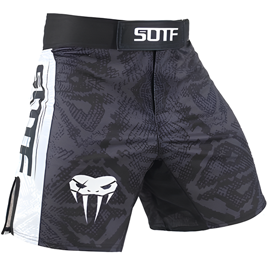 Short de Combat Homme Valtra Pro – Boxe & MMA